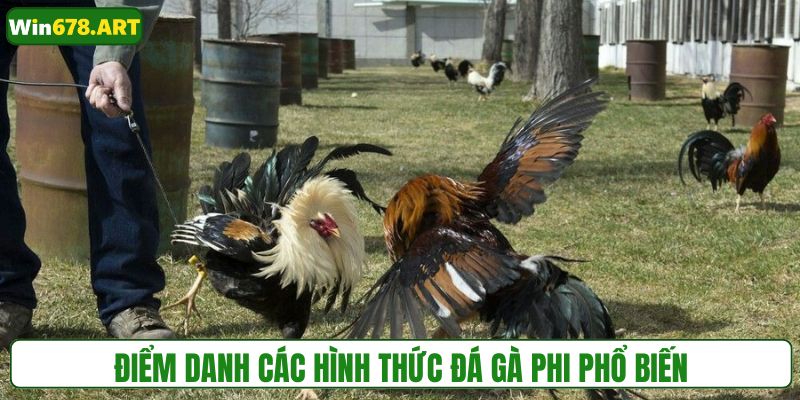 Những hình thức thi đấu chọi gà phi thường gặp
